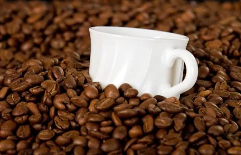 Empty coffee cup in beans Stock Photos
