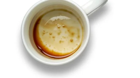 Empty coffee cup Stockbeeldmateriaal 8922744