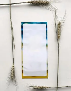 Empty colour card with spikelets of wheat 写真素材