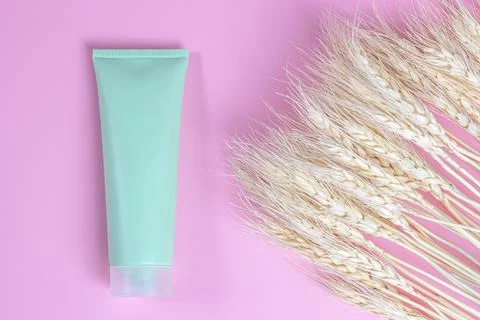 An empty container for cosmetics and wheat ears on a pink background. Organic Stock Photos