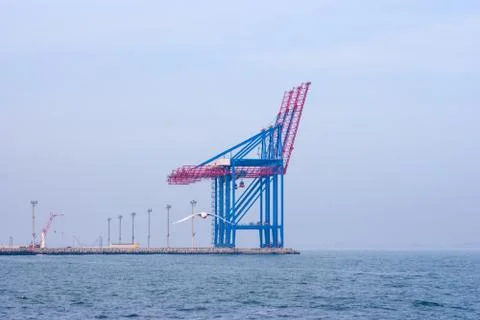 The empty container seaport Stock Photos