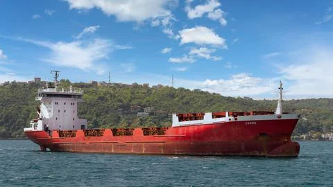 Empty container ship named Carina passing Bosporus Strait in a summer day Stock Photos