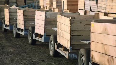 Empty containers for collecting apples. Stock Footage 81077422