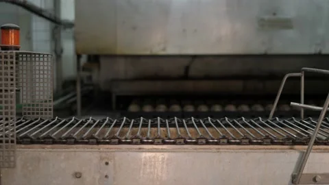Empty conveyor waiting for goods in a bakery factory Stock Footage 217708864