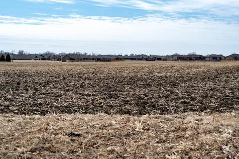 Empty corn field after fall harvest with residue over soil. Urban sprawl visible Foto stock
