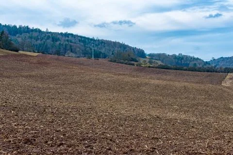 The empty corn field Stock Photos