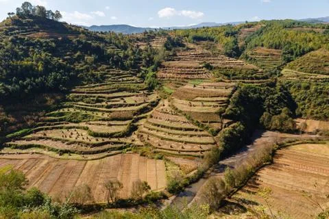 Empty corn fields after harvest, China Stock Photos