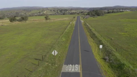 Empty country road. Vidéo 169828299