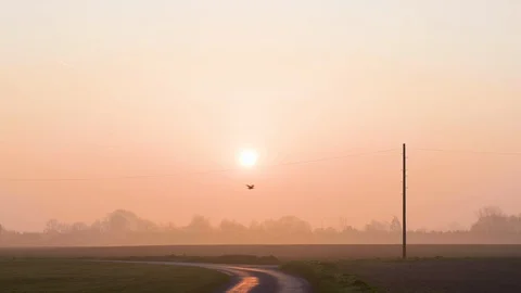 Empty country road passing through the green field at sunset Stock Footage 113008708