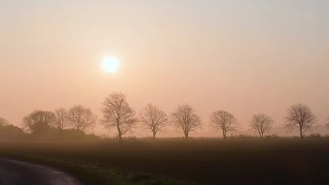Empty country road passing through the green field at sunset Stock Footage 113008830