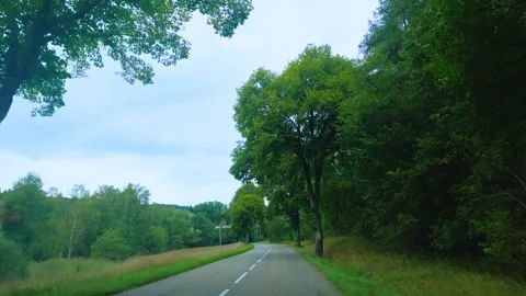 Empty Country Road Passing Through Green Tree Corridor Stock Footage 345654010