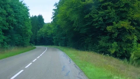 Empty Country Road Passing Through Green Tree Corridor Stock Footage 345654119