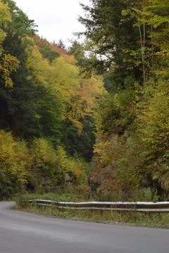 Empty Country Road Foto stock