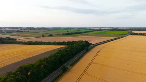 Empty country road winding between golden wheat fields and green woodland at Stock Footage 346285549