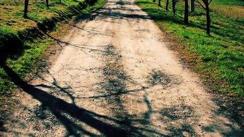 Empty country side road passing trough plums. Vídeo Stock 152951713