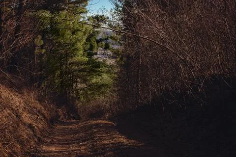 Empty countryside dirt road  Stock Photos