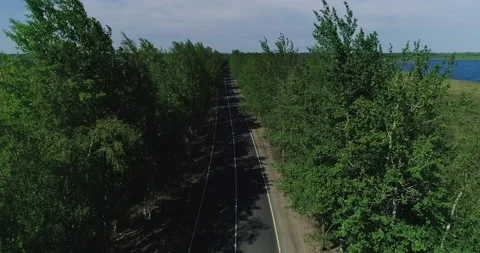 Empty Countryside Road Lined with Trees Aerial view 4k  Stock Footage 156281070