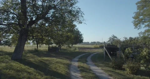 Empty Countryside Road Surrounded By Trees Stockbeeldmateriaal 146191038