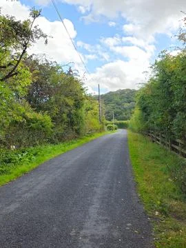 Empty Countryside Road Surrounded by Trees and Green Hedges Stock Photos