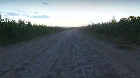 Empty countryside road through fields with wheat 스톡 동영상 68508935