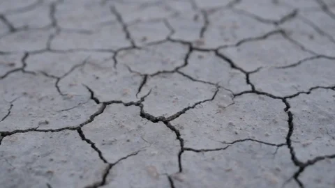 Empty cracked soil. Close up Stock Footage 124642870