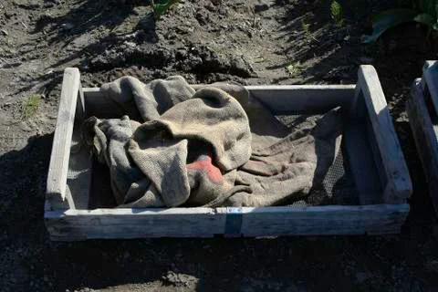 Empty crate Stock Photos