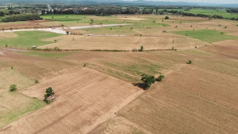 Empty crop field Video stock 95938653