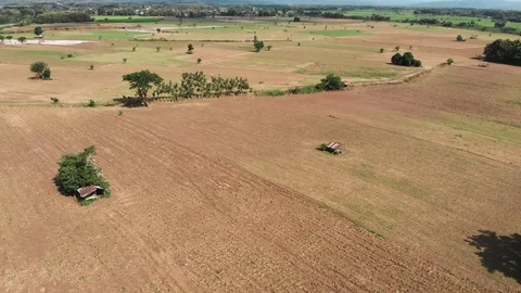 Empty crop field Video stock 98345249