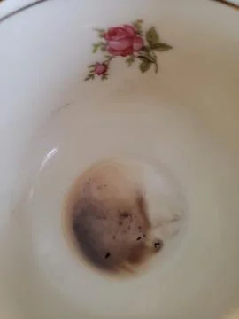 Empty Cup of Coffee with China that has Rose patterns Stock Photos