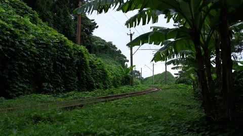 Empty Curved Railroad Track Surrounded by Lush Greenery Video stock 348002294