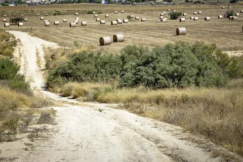 Empty curving major road, acting as a leading line, stretches to the horizon Stock Photos