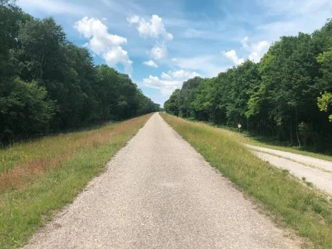 Empty cycling path with green vegetation around. Stock Photos