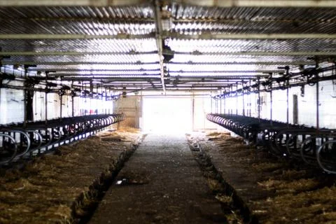 Empty Dairy Barn Stock Photos