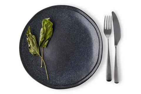 Empty dark ceramic plate dish decorated with dried currant leaves with cutlery Stock Photos