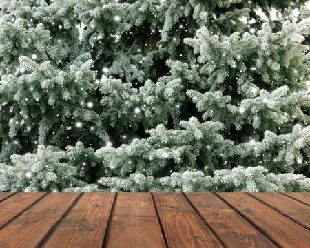 Empty deck on the background of fir branches Stock Photos
