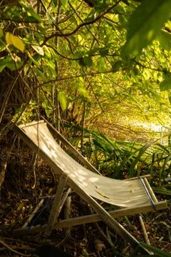 Empty deck chair in  summer sunlight under leaves next to lake 库存照片