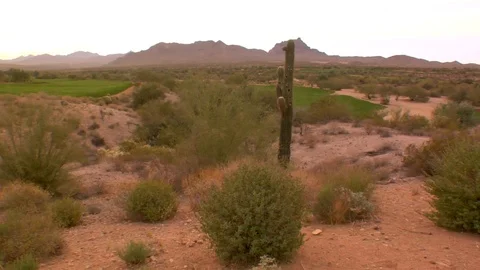Empty desert landscape with golf course and cactus New Mexico  Stock Footage 125276466