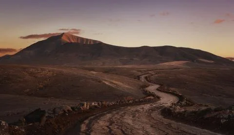 Empty desert road at the sunset with copy space Stock Photos