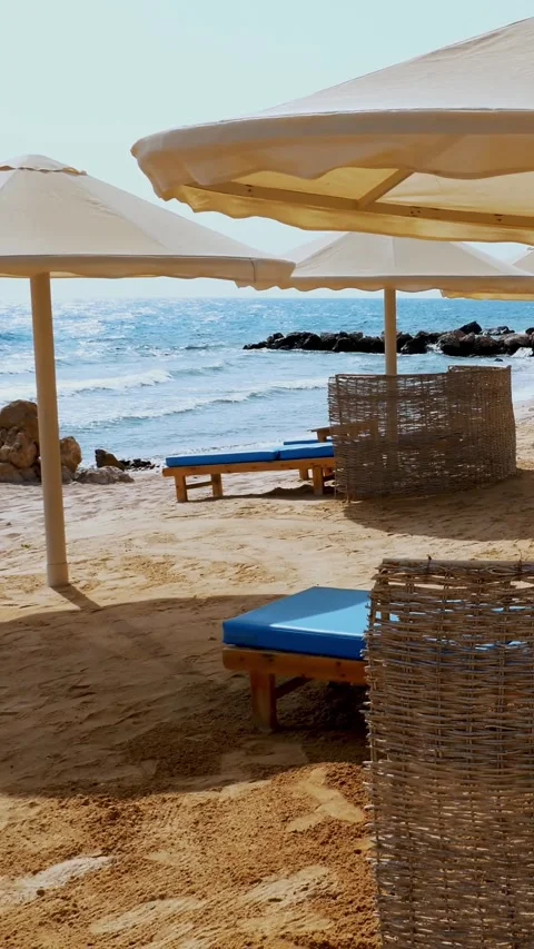 Empty, deserted beach with palm trees, sun loungers and umbrellas of an Stock Footage 321014059