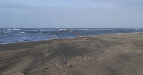 Empty deserted beach, with strong wind and waves on a winter day Stock Footage 169821584