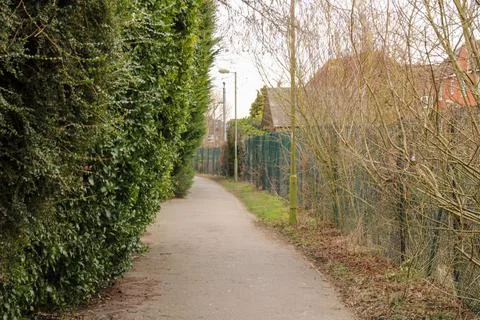 An Empty deserted footpath Stock Photos