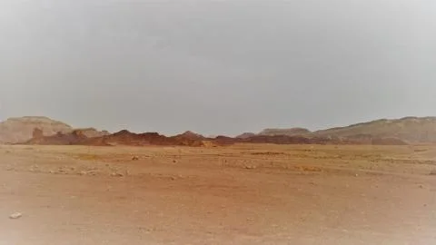 Empty dessert Foto stock