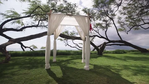 Empty destination wedding venue under a kiawe tree in Maui Hawaii. Stock Footage 135238212
