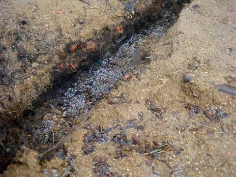 Empty digged trench 写真素材