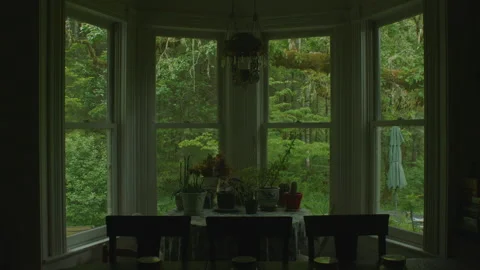 Empty Dining Room With Trees Outside - Oregon Farmhouse Stock Footage 232344938