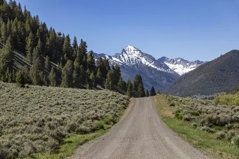 Empty dirt road to distant mountain Stock Photos