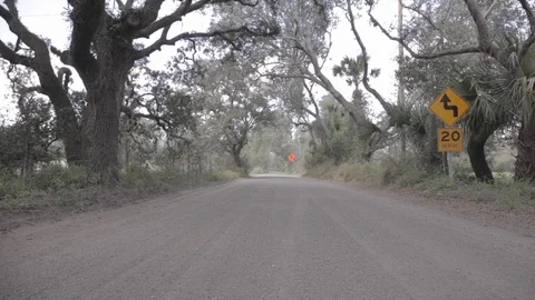 Empty Dirt Road in the Florida Everglades Stock Footage 114584740