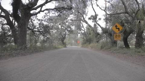 Empty Dirt Road in the Florida Everglades Stock Footage 114584755