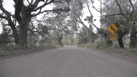 Empty Dirt Road in the Florida Everglades Stock Footage 114584801