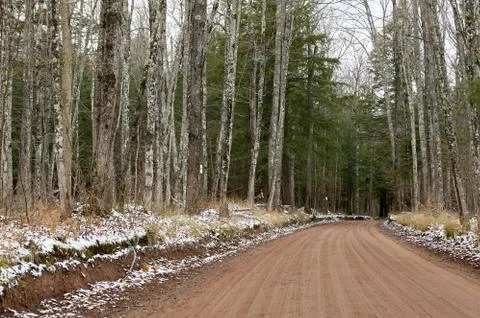 Empty dirt road in forest Stock Photos